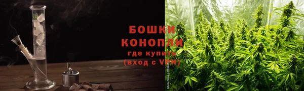 дурь Переславль-Залесский