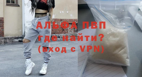 ешки Санкт-Петербург