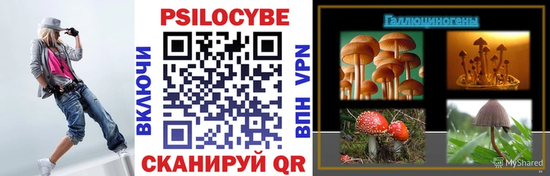 Псилоцибиновые грибы Magic Shrooms blacksprut как войти Аркадак наркота