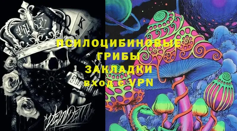 Галлюциногенные грибы Magic Shrooms  купить закладку  mega ССЫЛКА  Аркадак 