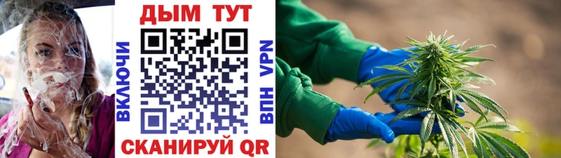 Конопля Bruce Banner Аркадак